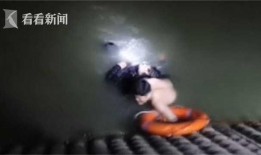 最新偷鱼爆料视频播放大全,惊心动魄的捕鱼瞬间大揭秘